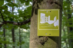 Foto: Dirk Weber, CC BY, Verein SÜW Annweiler am Trifels e.V. 